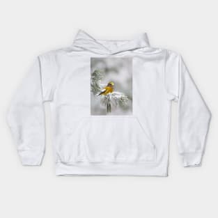 Evening Grosbeak - Algonquin Park Kids Hoodie